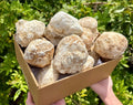 LARGE Moroccan GEODE